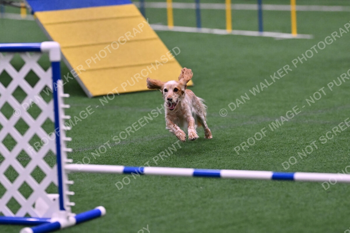 Wendy-Julie-Ashley-00818