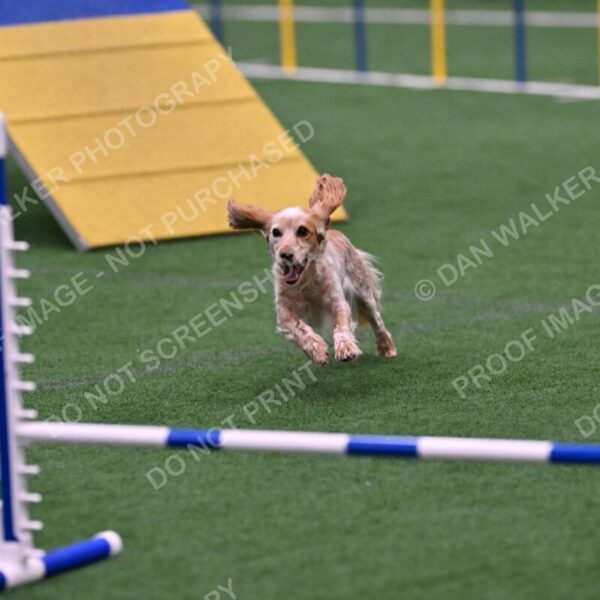 Wendy-Julie-Ashley-00818