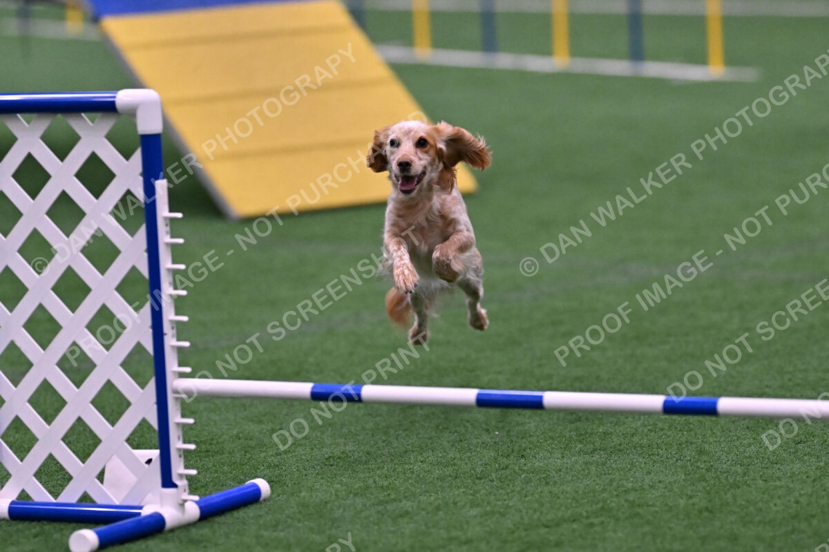 Wendy-Julie-Ashley-00821