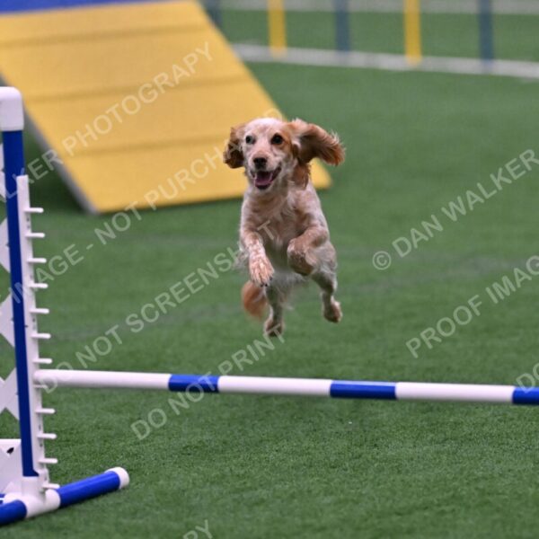 Wendy-Julie-Ashley-00821