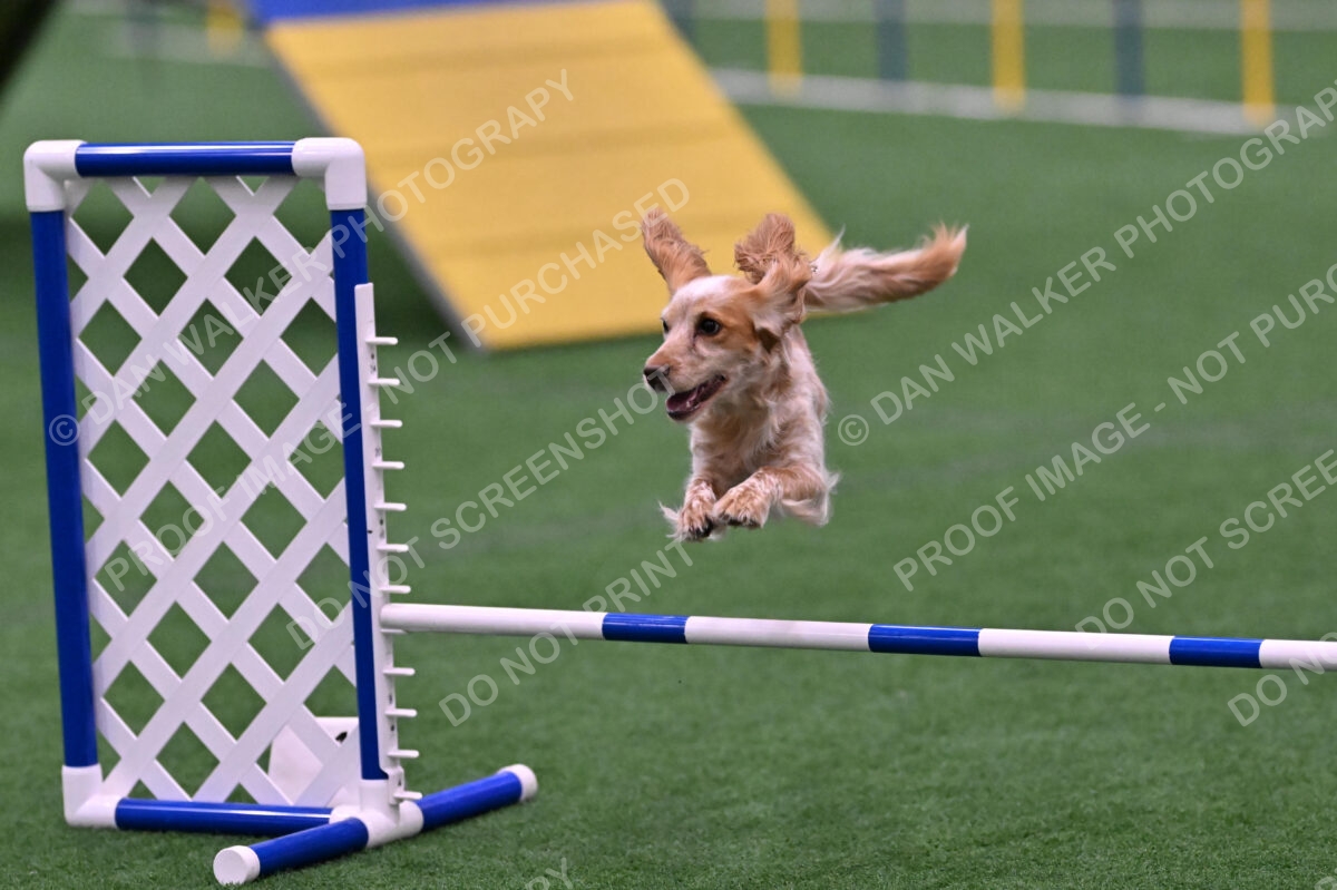 Wendy-Julie-Ashley-00824