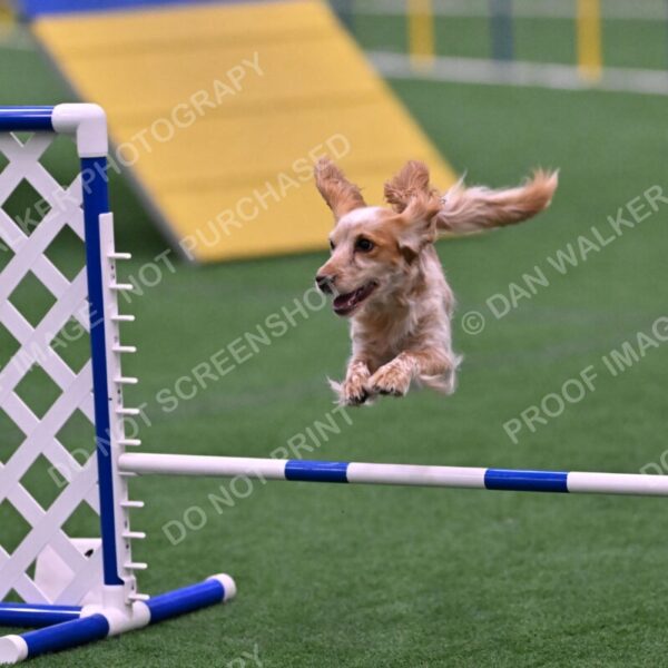 Wendy-Julie-Ashley-00824