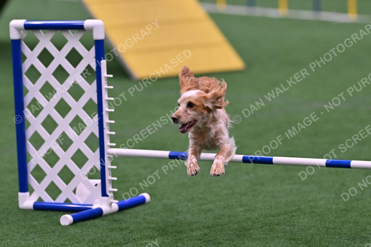 Wendy-Julie-Ashley-00825