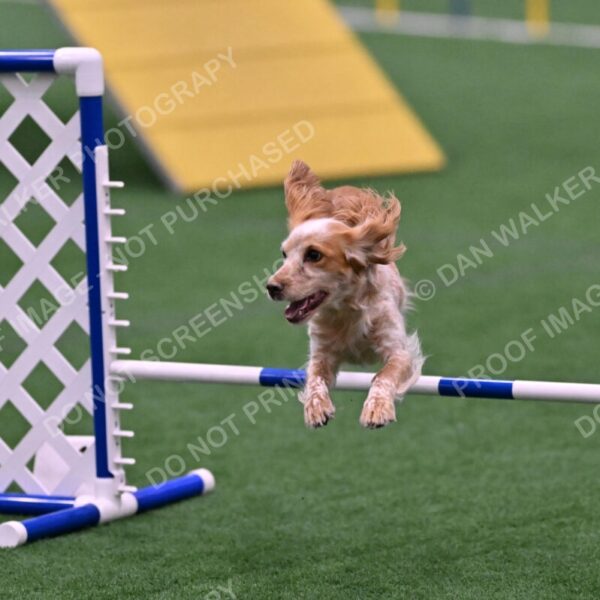 Wendy-Julie-Ashley-00825