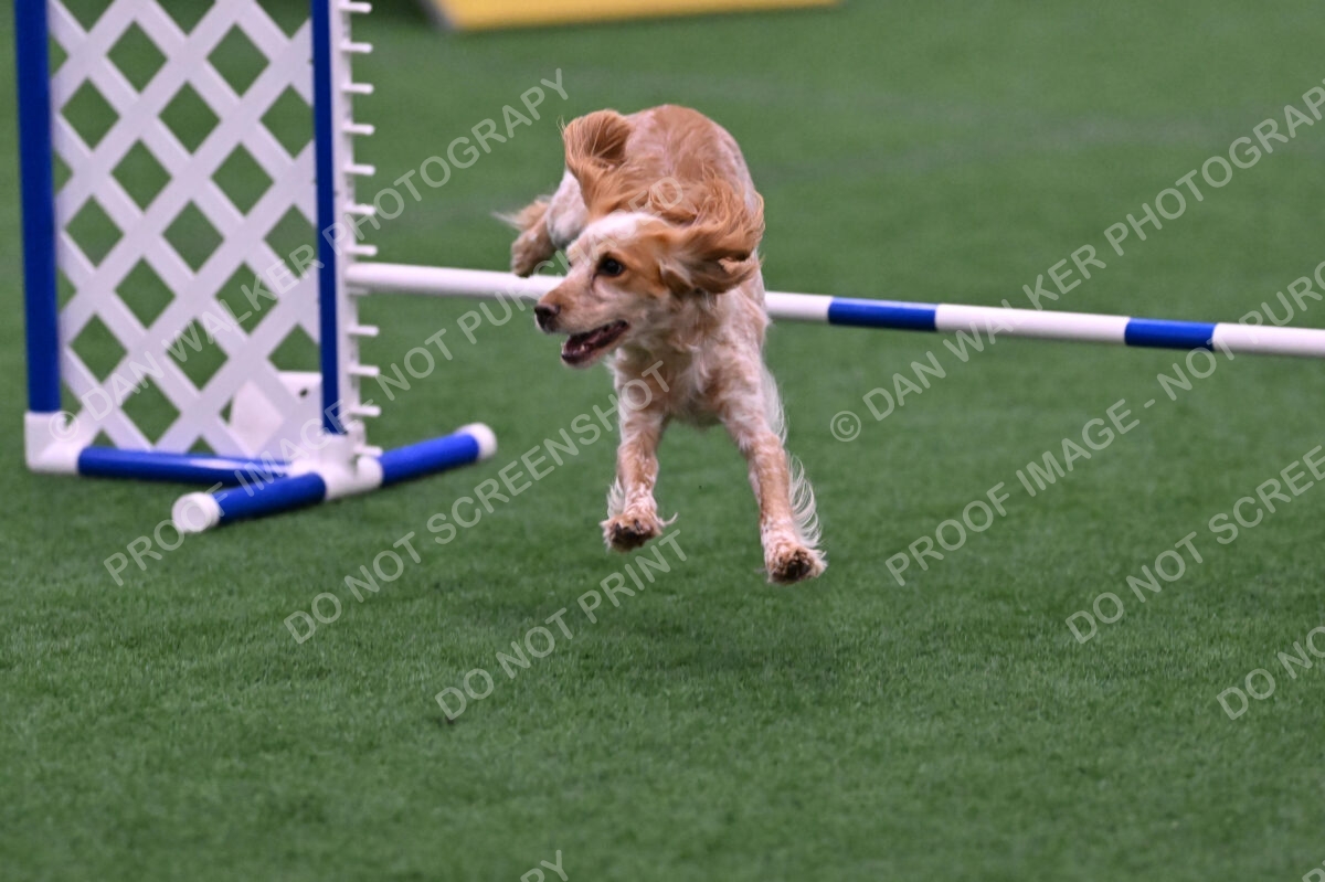 Wendy-Julie-Ashley-00826