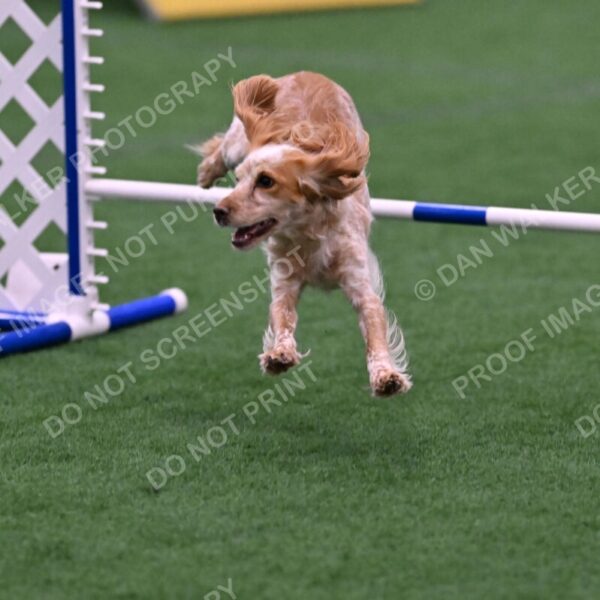 Wendy-Julie-Ashley-00826