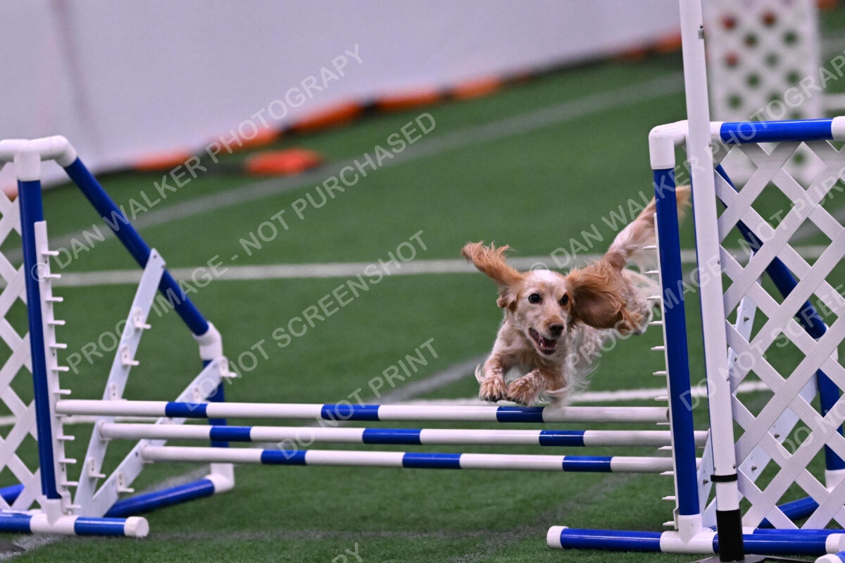 Wendy-Julie-Ashley-00830