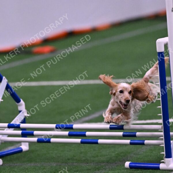 Wendy-Julie-Ashley-00830