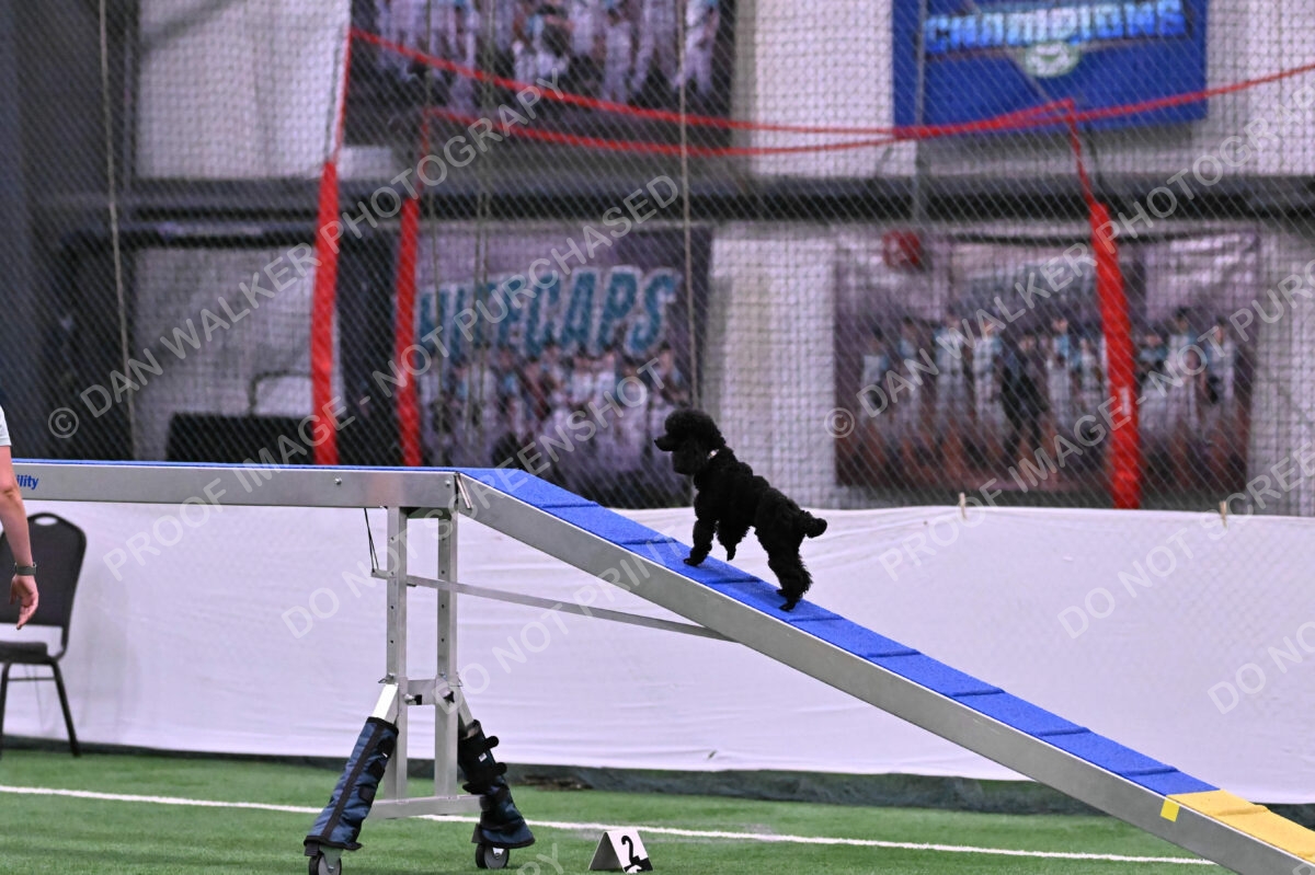 Winston-Madison-Canton-08987