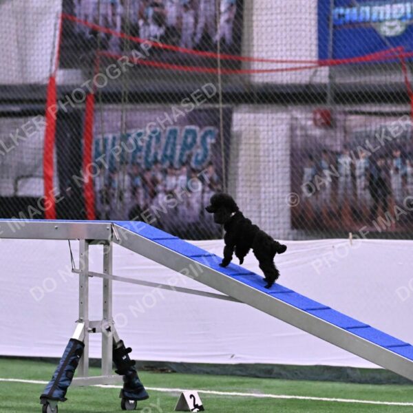 Winston-Madison-Canton-08987