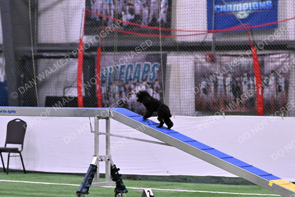 Winston-Madison-Canton-08992