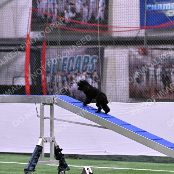 Winston-Madison-Canton-08992