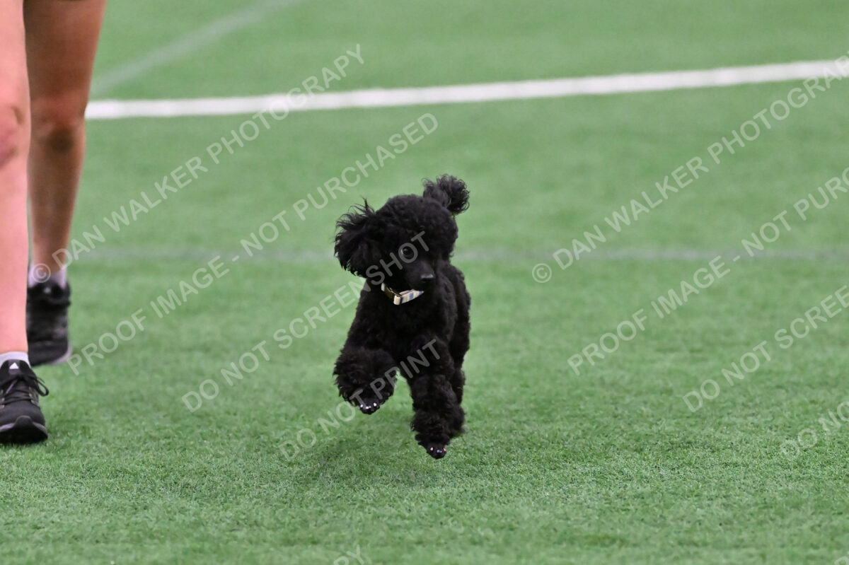 Winston-Madison-Canton-08995