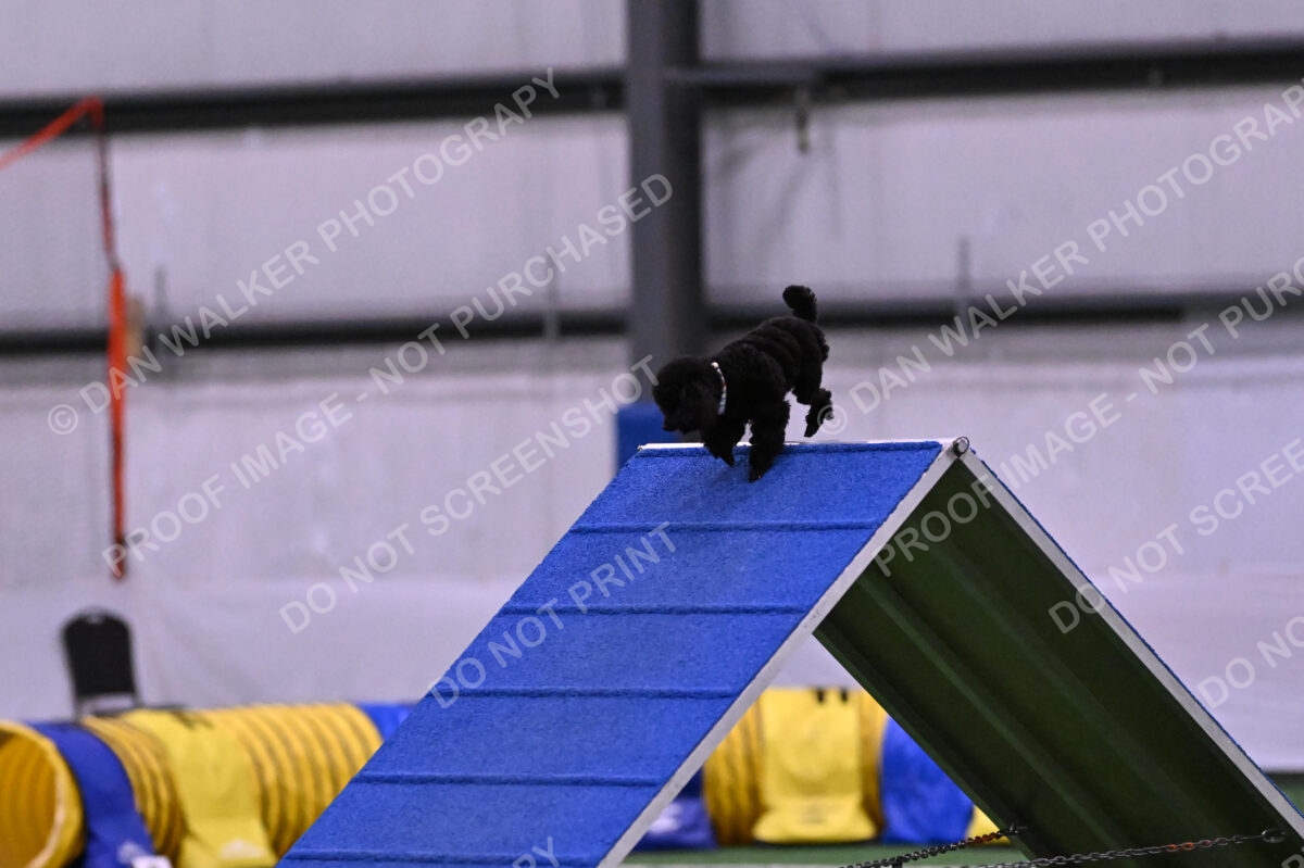 Winston-Madison-Canton-09006