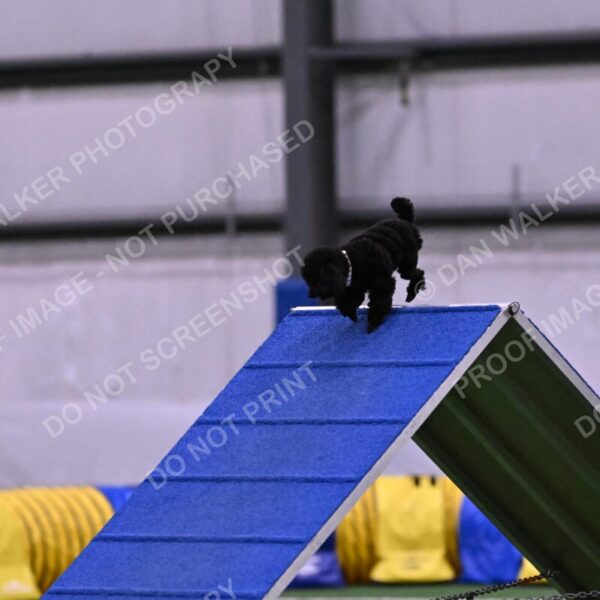 Winston-Madison-Canton-09006