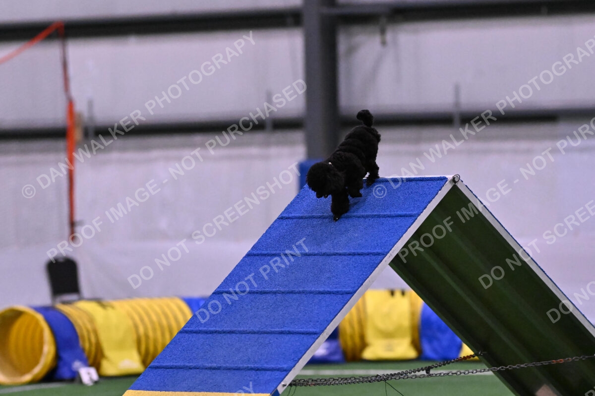 Winston-Madison-Canton-09008