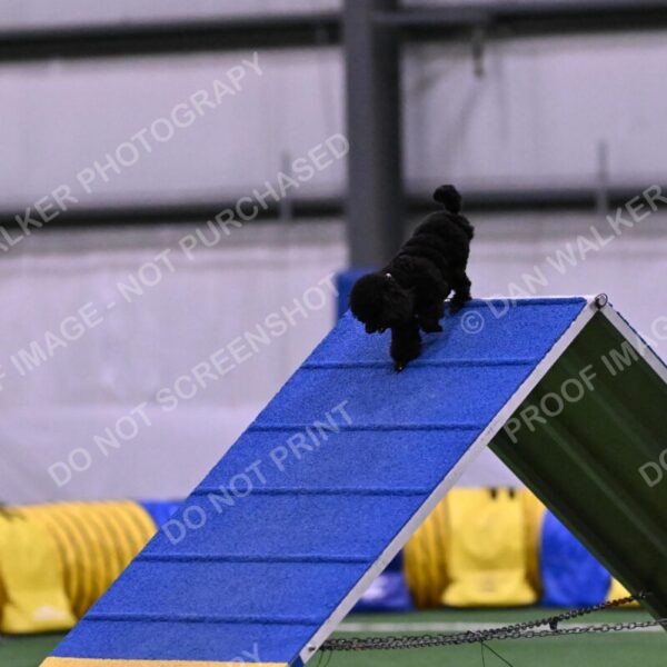 Winston-Madison-Canton-09008