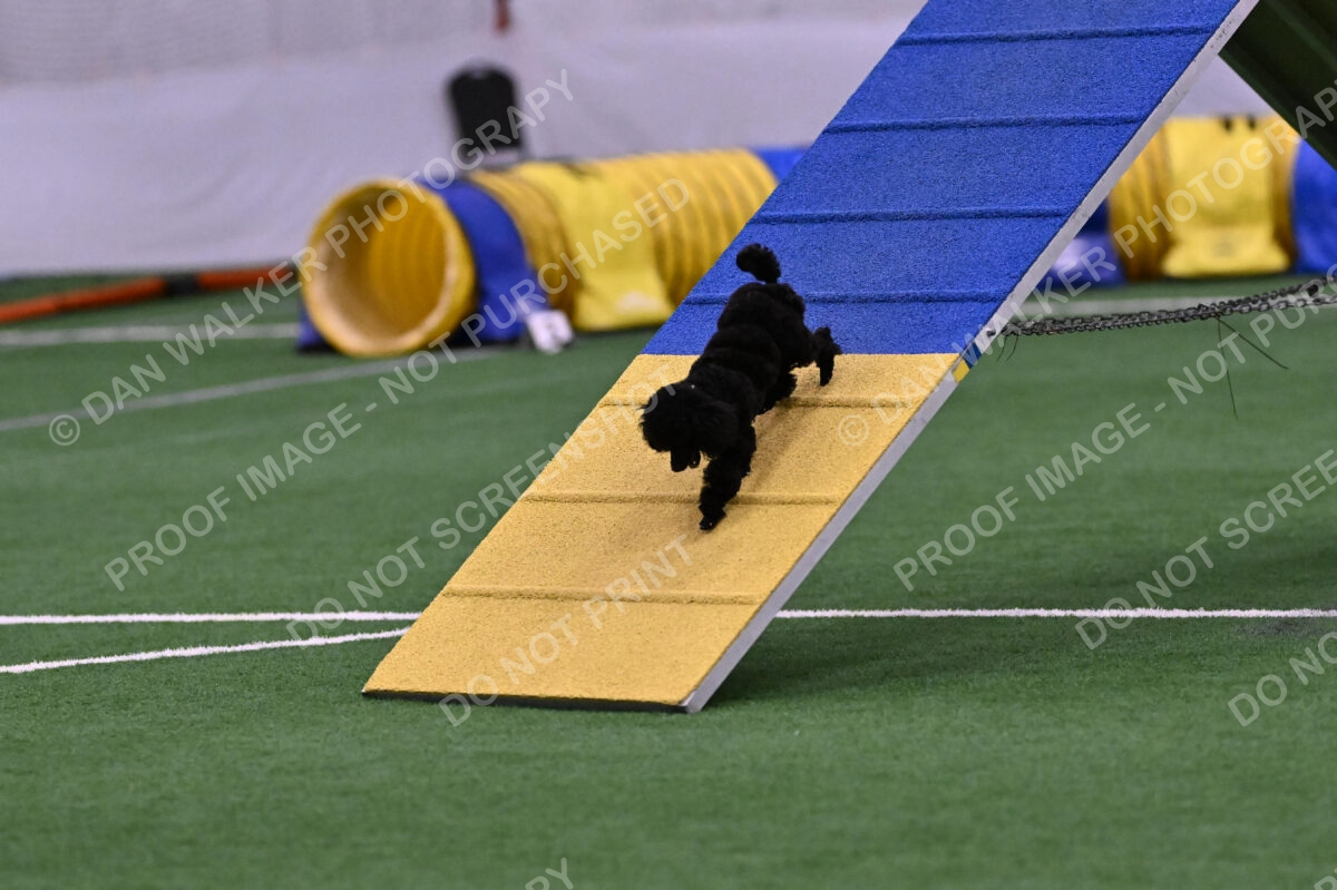 Winston-Madison-Canton-09013