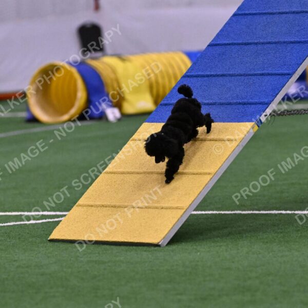 Winston-Madison-Canton-09013