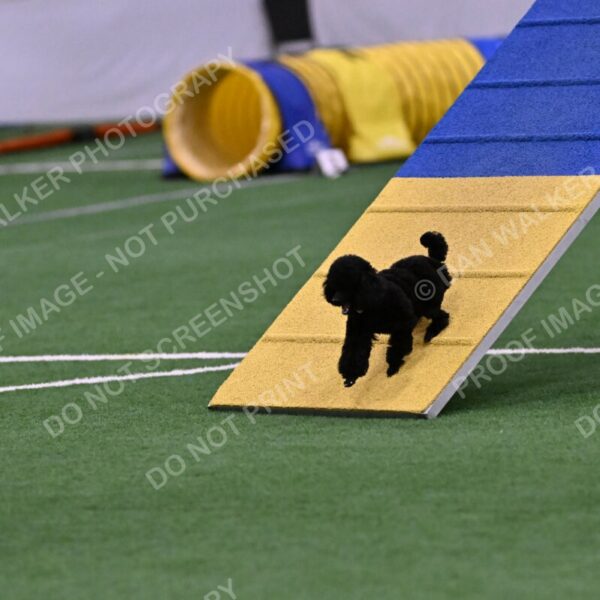 Winston-Madison-Canton-09016