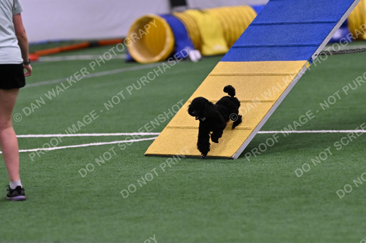 Winston-Madison-Canton-09017