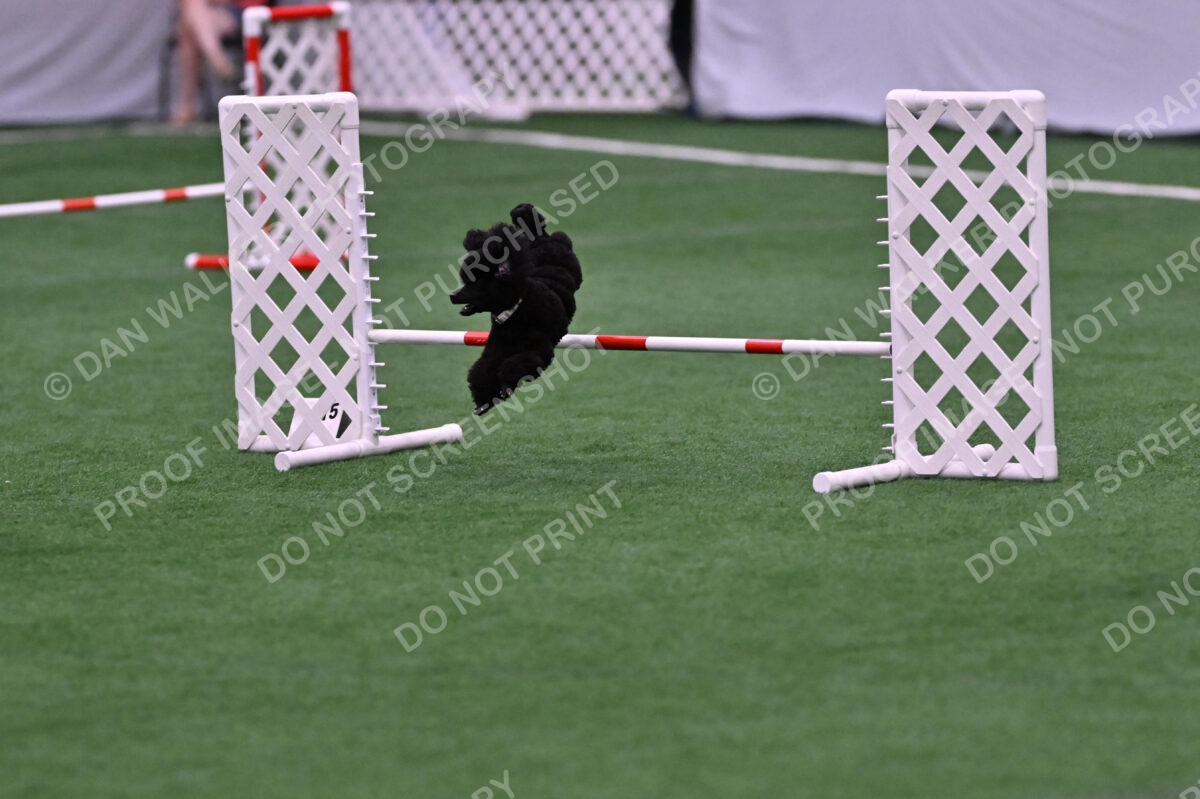 Winston-Madison-Canton-09024