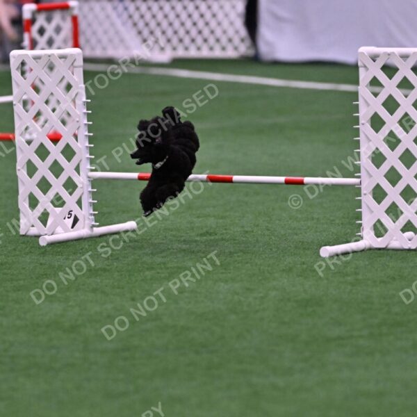 Winston-Madison-Canton-09024