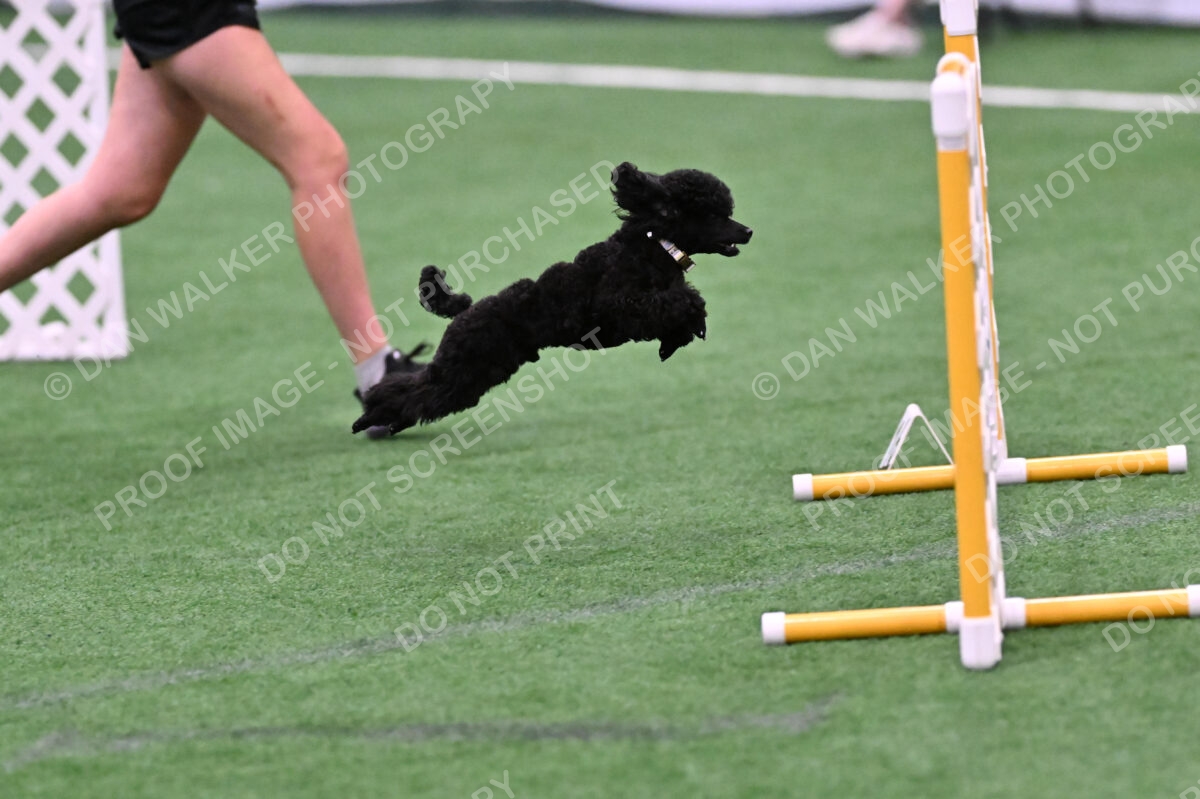 Winston-Madison-Canton-09028