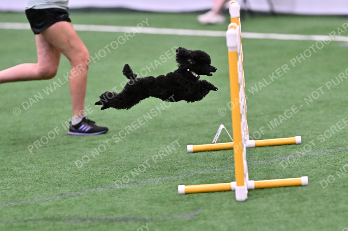 Winston-Madison-Canton-09029