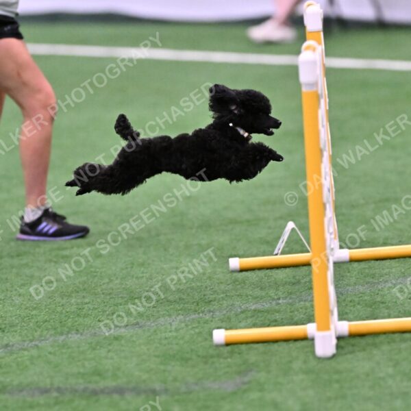 Winston-Madison-Canton-09029