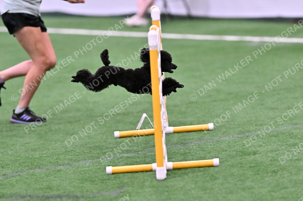 Winston-Madison-Canton-09030