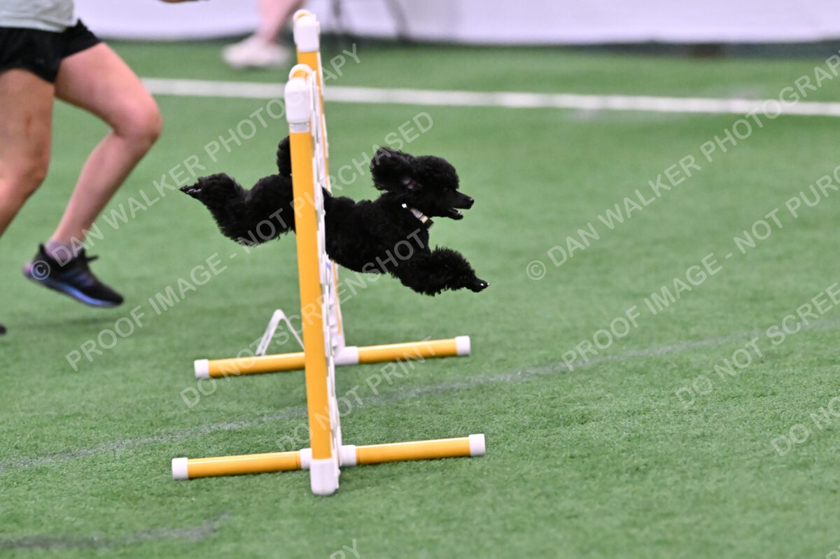 Winston-Madison-Canton-09031