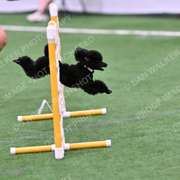 Winston-Madison-Canton-09031