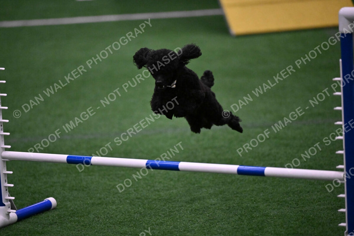 Winston-Madison-Canton-09051