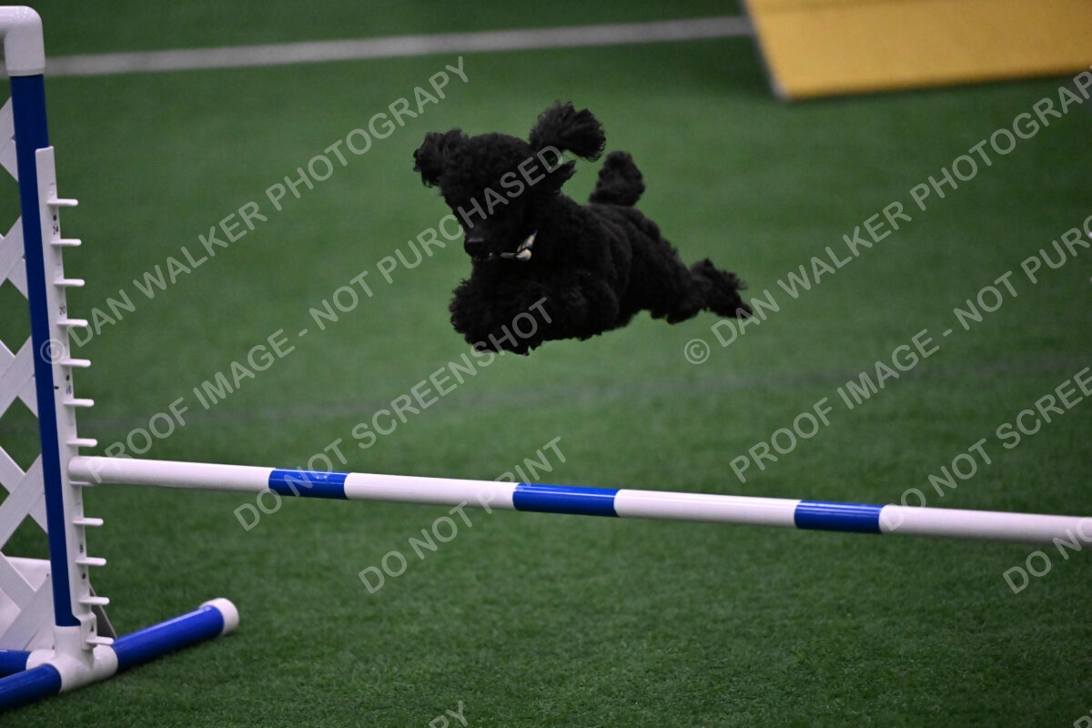 Winston-Madison-Canton-09052