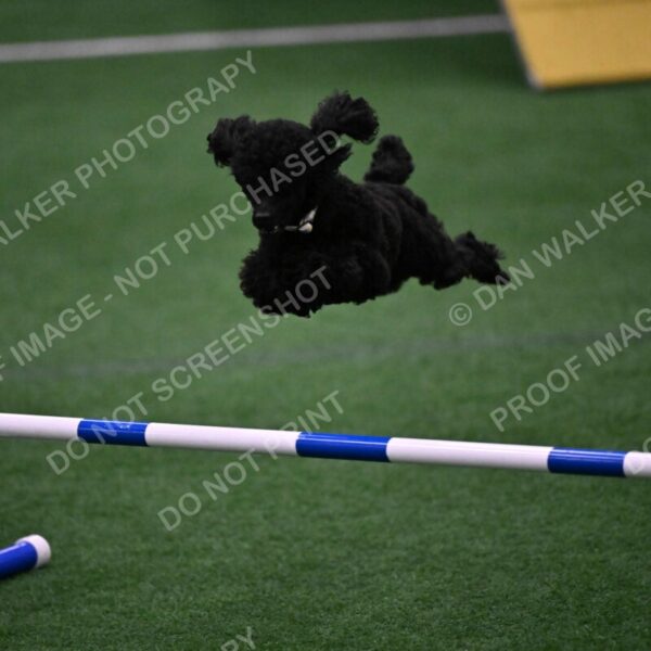 Winston-Madison-Canton-09052