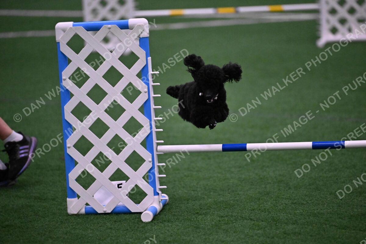 Winston-Madison-Canton-09057