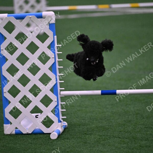 Winston-Madison-Canton-09057