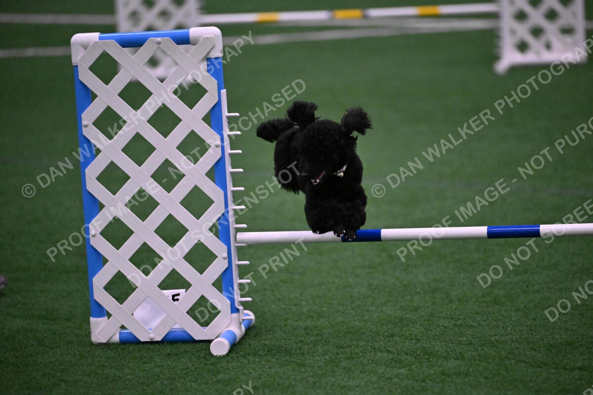 Winston-Madison-Canton-09058