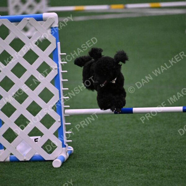 Winston-Madison-Canton-09058