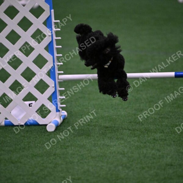 Winston-Madison-Canton-09059