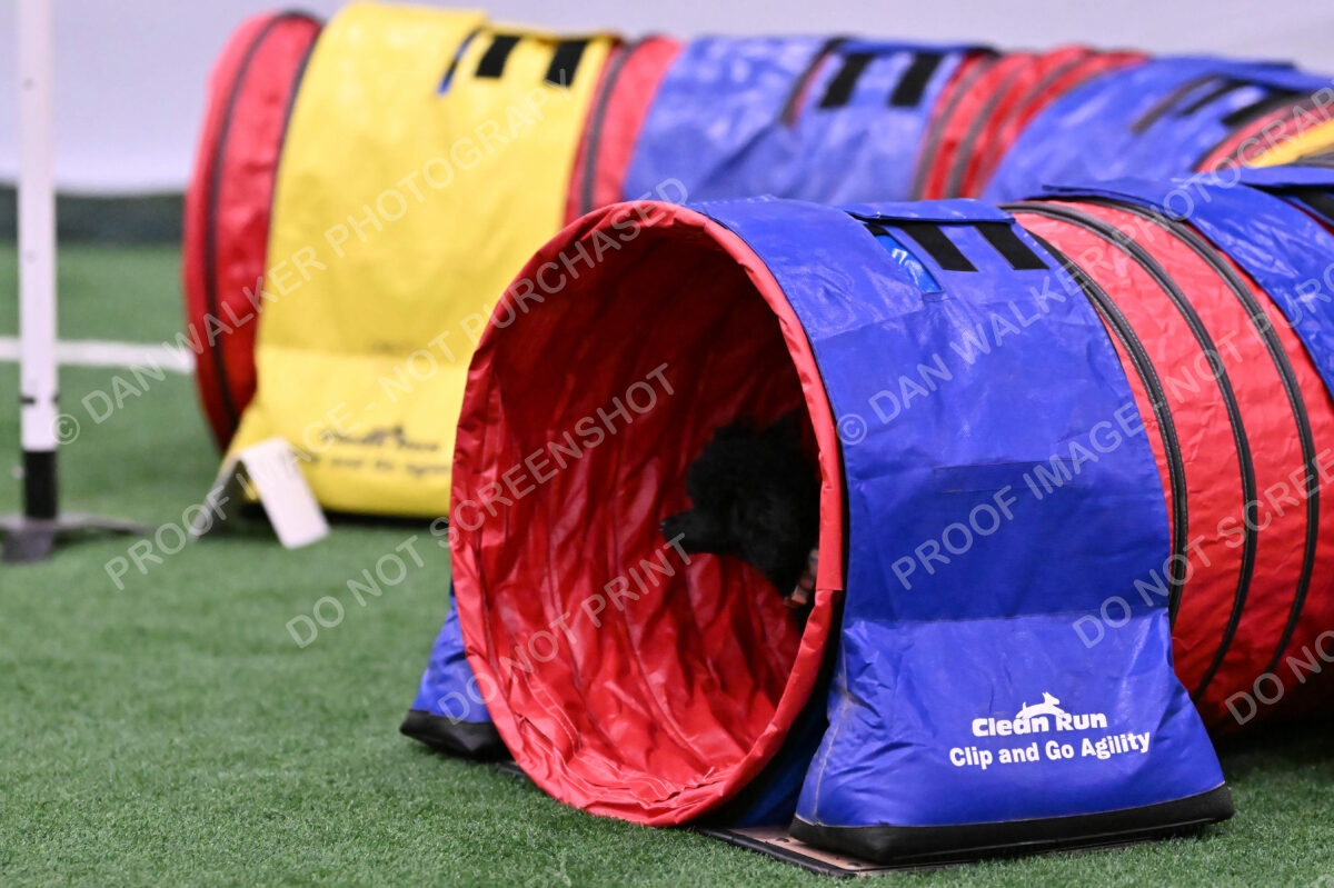 Winston-Madison-Canton-09072