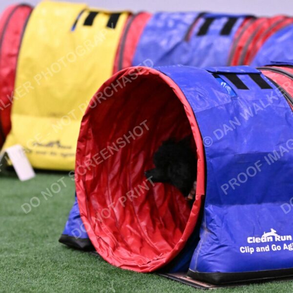 Winston-Madison-Canton-09072