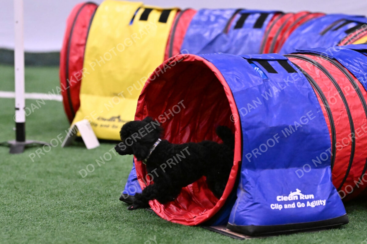 Winston-Madison-Canton-09073