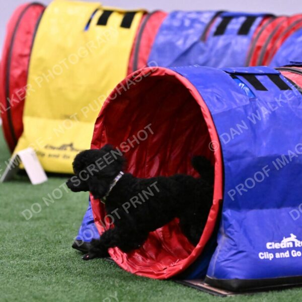 Winston-Madison-Canton-09073