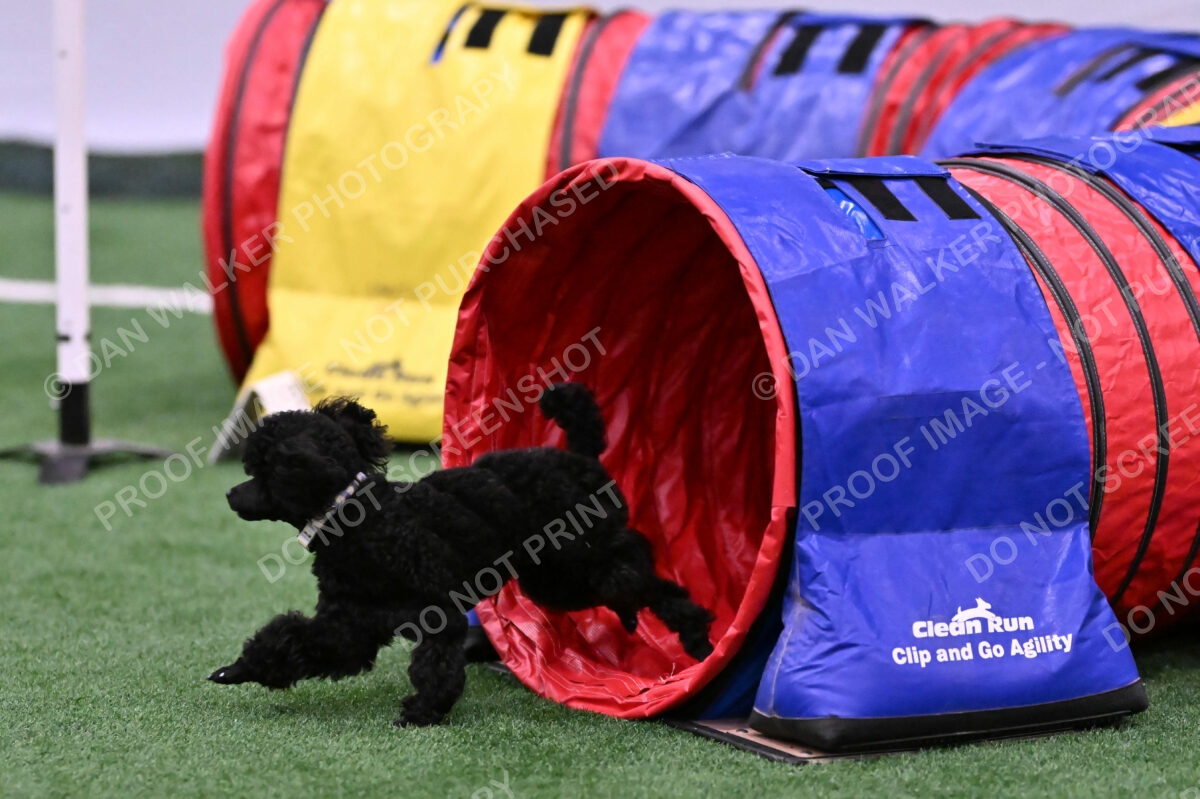 Winston-Madison-Canton-09074