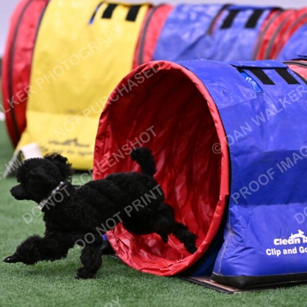 Winston-Madison-Canton-09074