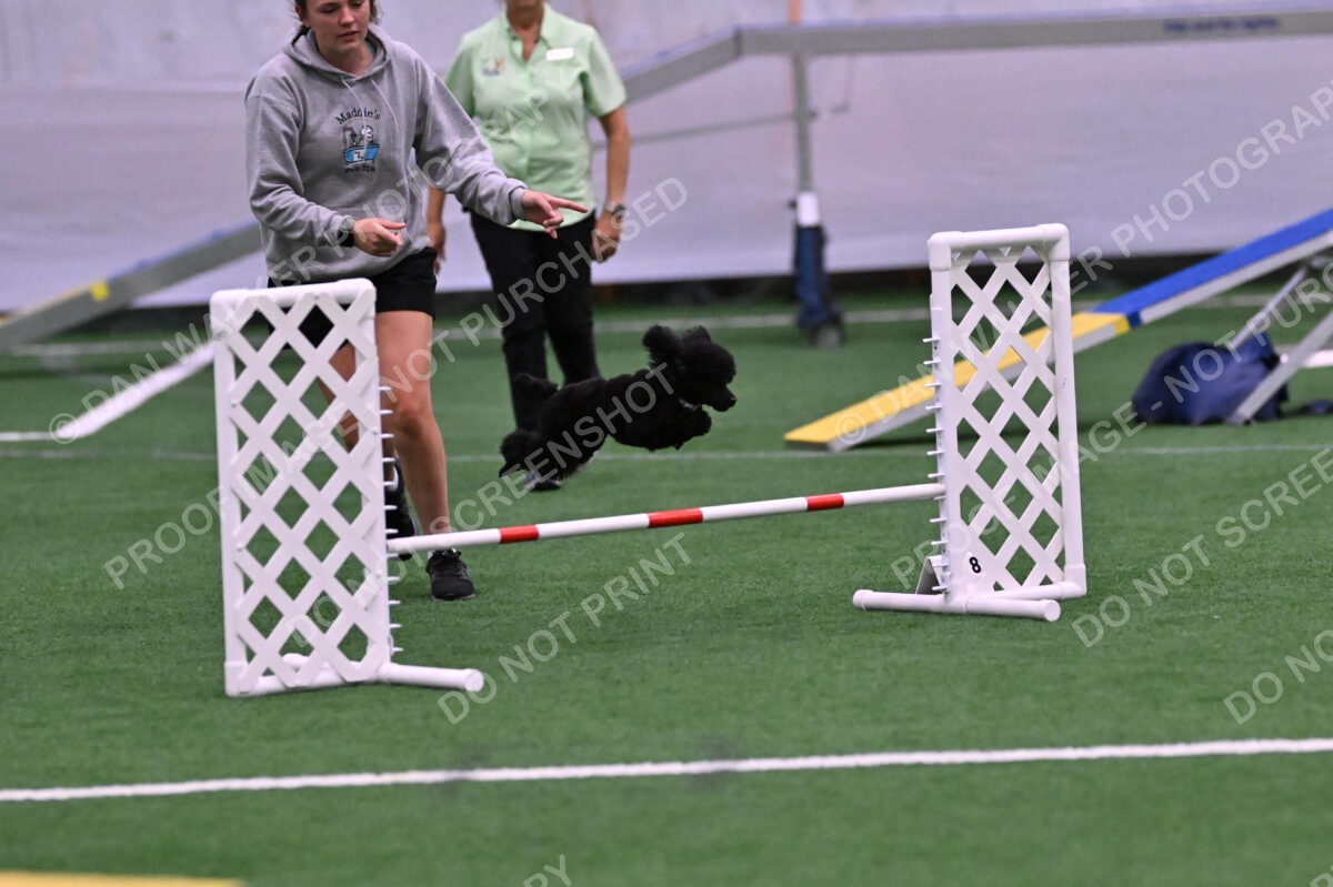 Winston-Madison-Canton-09078