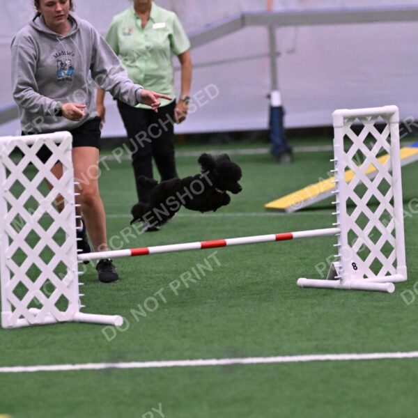 Winston-Madison-Canton-09078