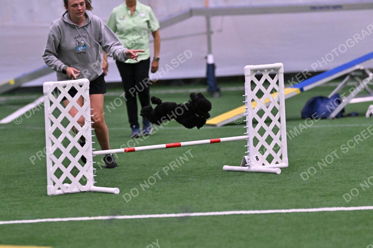 Winston-Madison-Canton-09079